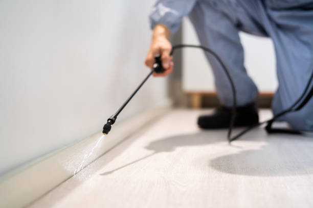 Certified termite inspector examining foundation in Russell